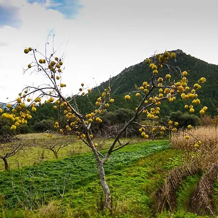 Cortijo Rincón Cabero Ecoturismo Albacete Сasa de vacaciones Yeste